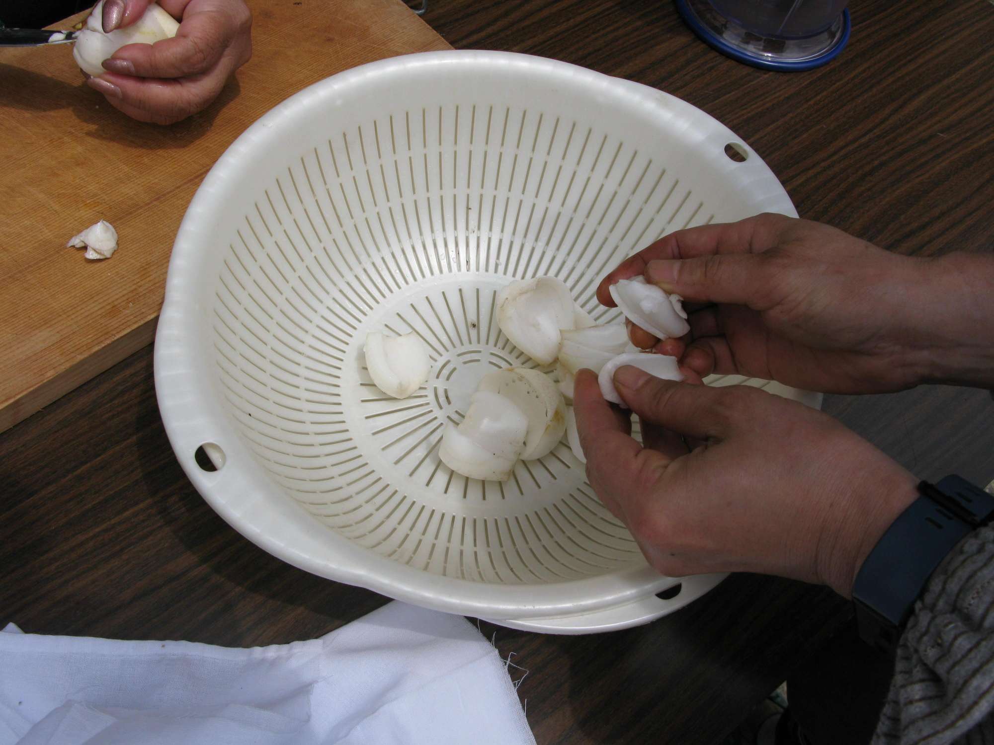 オオウバユリ鱗茎2