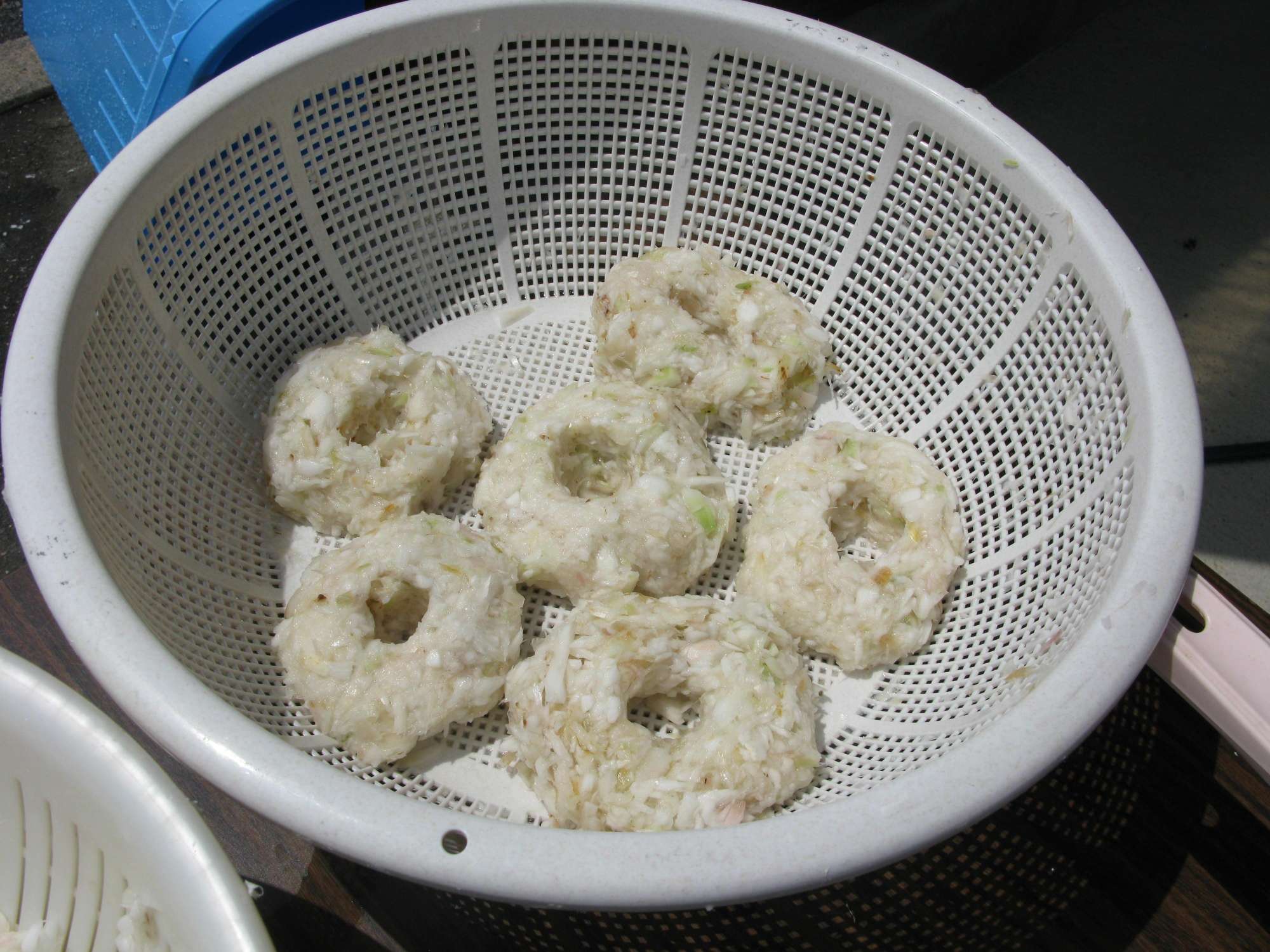 オオウバユリ鱗茎4