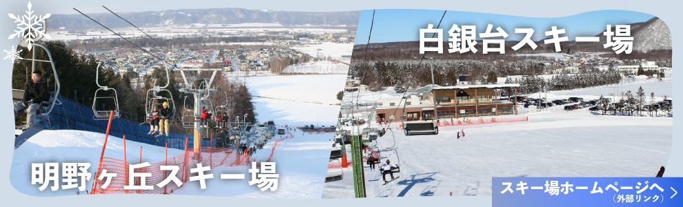 ski-banner
