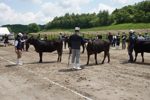 幕別町畜産祭りの様子 その2