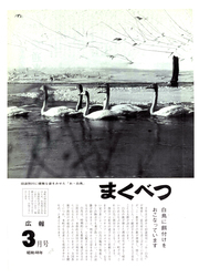 広報まくべつ 1973年3月号