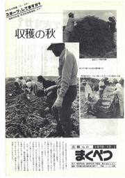 広報まくべつ 1978年10月号