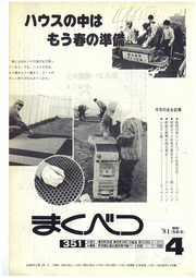 1981年4月号