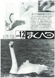 広報まくべつ 1989年12月号