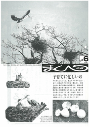 広報まくべつ 1990年6月号