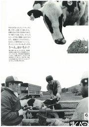 広報まくべつ 1991年6月号