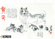 広報まくべつ 1月号（No.504）