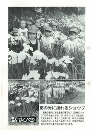広報まくべつ 8月号（No.511）