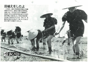 広報まくべつ 6月号（No.509）