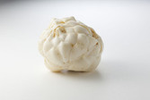 yurine