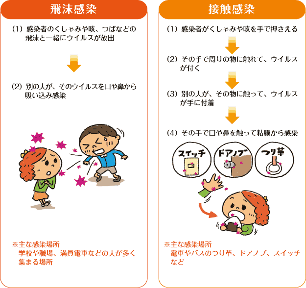 感染経路は飛沫感染と接触感染
