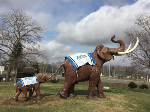 ファイターズのユニフォームを着用した忠類ナウマン公園の親子象